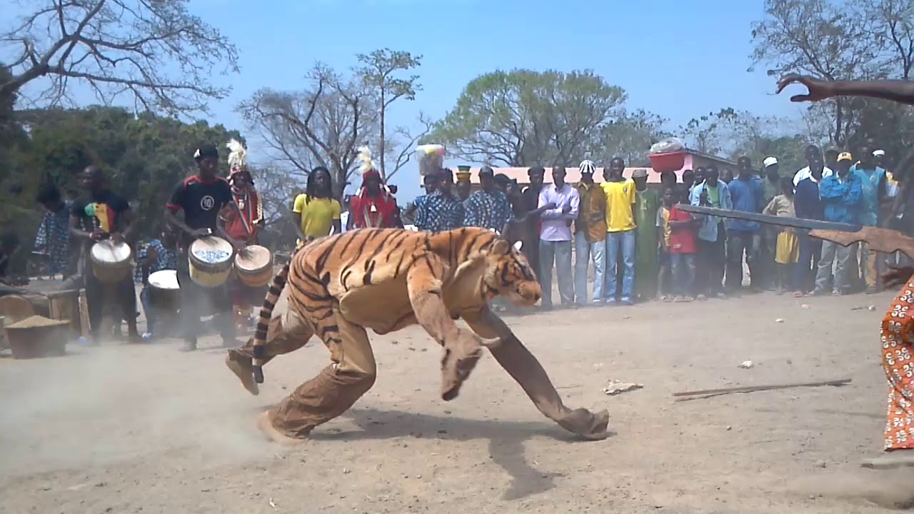 Moussa Oularé & Bolokada Condé Hunt a Tiger