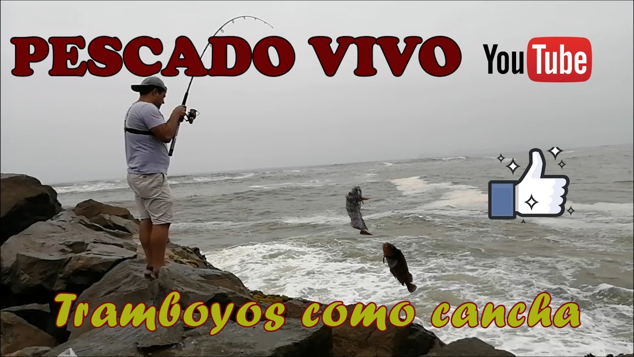 Lugares de PESCA en LIMA #Pescadeportiva