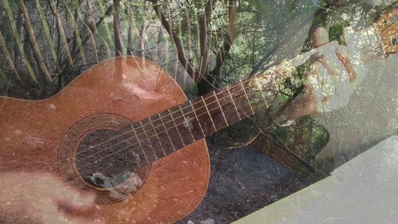 El poeta Halley cover