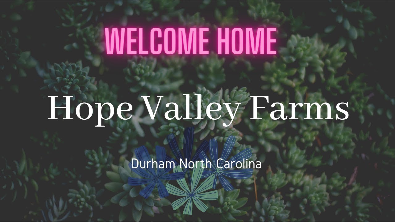 Quick Tour of Hope Valley Farms Community in Durham NC