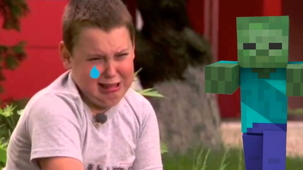 Minecraft MEMES that let my Zombie out