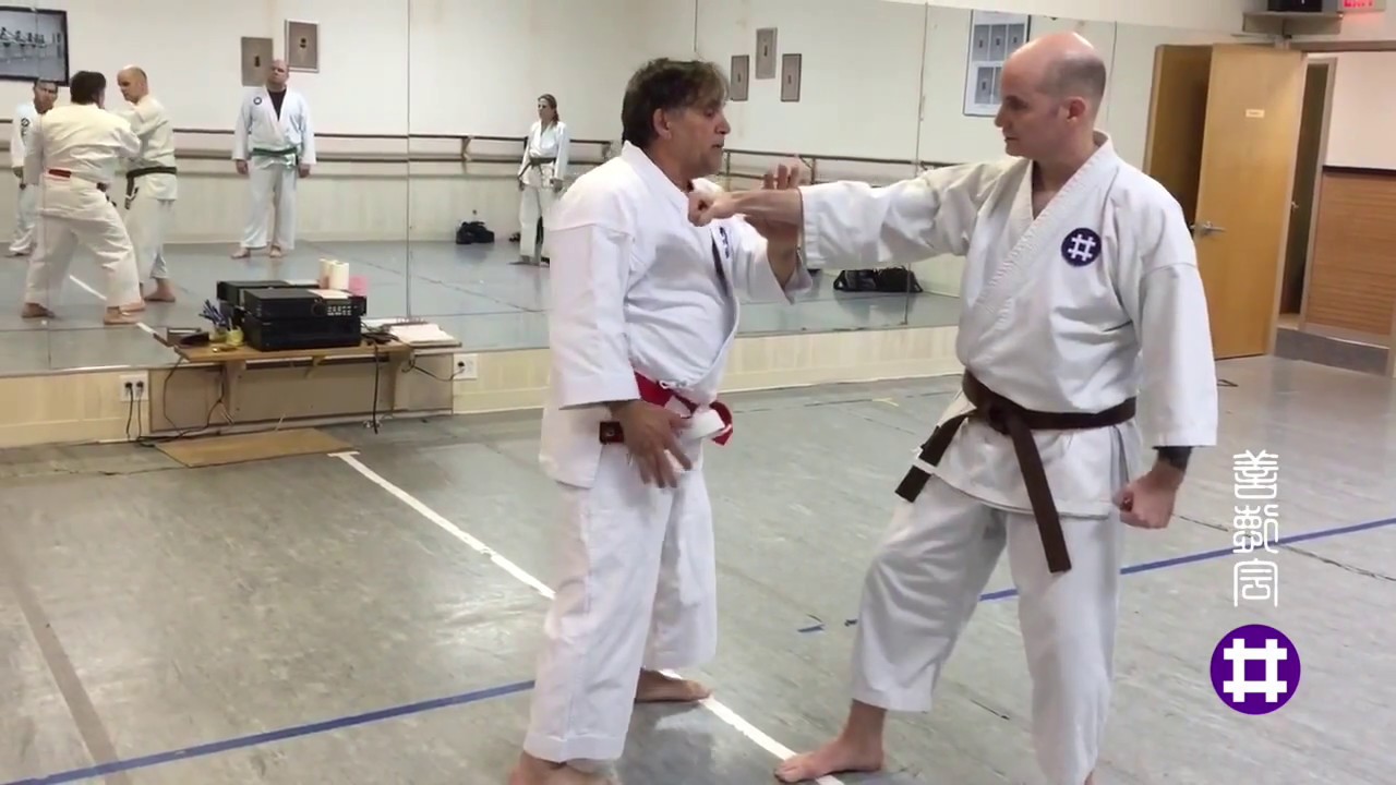 Jim Pizii Sensei works Zenshin Kotai Kihon