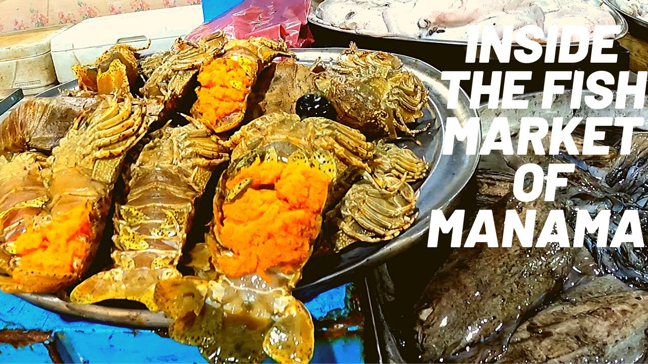 AMAZING FISH MARKET IN BAHRAIN | A TOUR INSIDE MANAMA FISH MARKET
