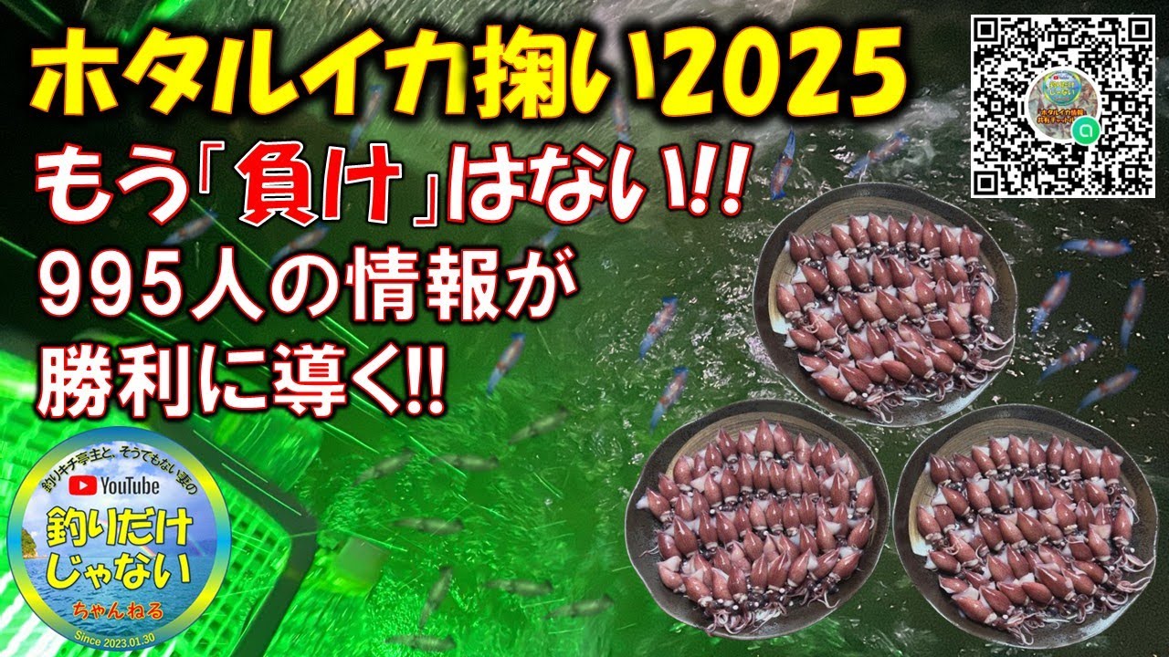 【ホタルイカ掬い】まさに1000人力！！もう「負け」はない。995人の情報が勝利を確約！！湧いたら集合作戦！！入善・朝日・岩瀬浜・八重津浜・四方漁港。