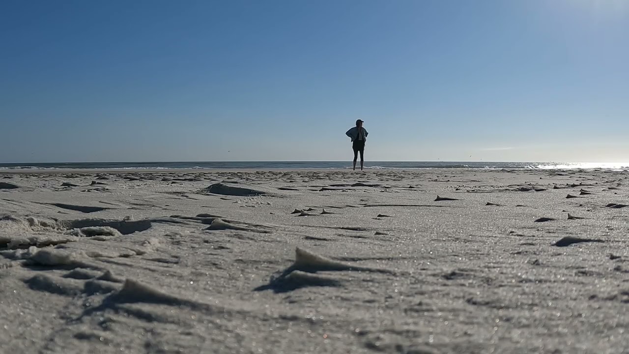 Birthday Walk to the Ocean | Sonic Round 
