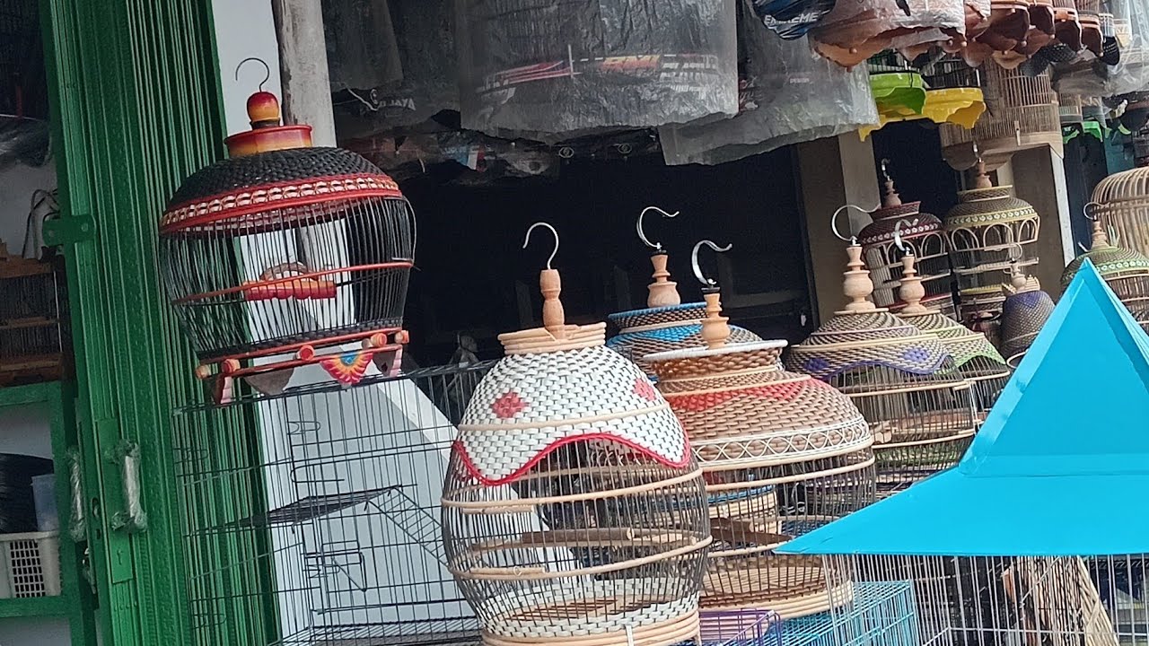 MS STORE JAYA (JUAL KANDANG BURUNG) sedang live 16 sekarang!