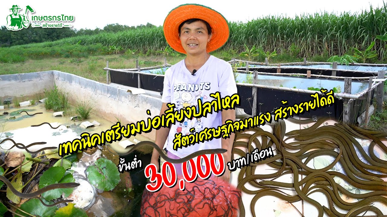 เทคนิคเตรียมบ่อเลี้ยงปลาไหล สัตว์เศรษฐกิจมาแรง สร้างรายได้ 30,000 บาท/เดือน l ชมสวนเกษตรกรไทย Ep262