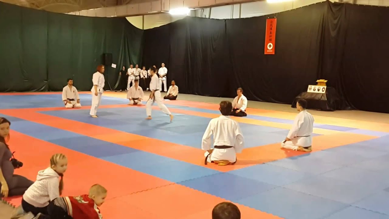 Embutaikai in Seminar of Aikido Yoshinkan with David Rubens 2016
