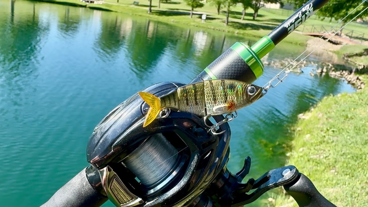 Nothing Escapes the NAGE! |Fort Worth BFS Angling|