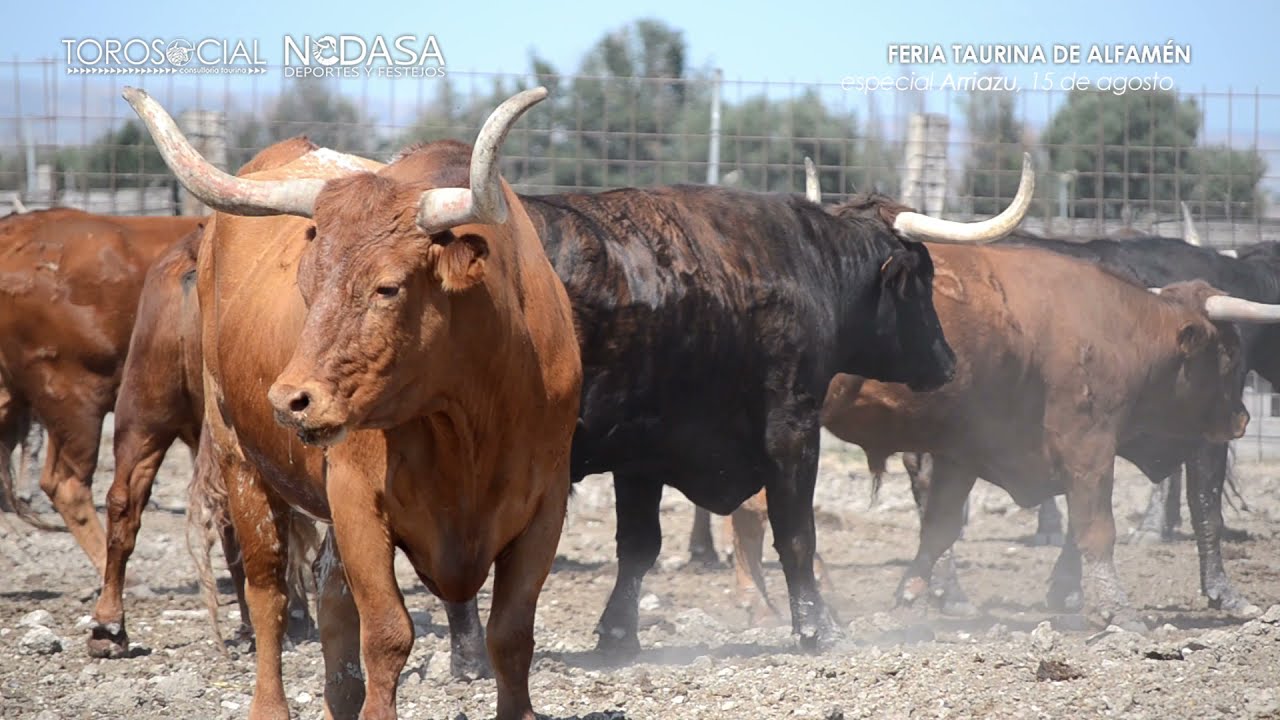 ALFAMÉN | Especial Arriazú 15 de agosto de 2021