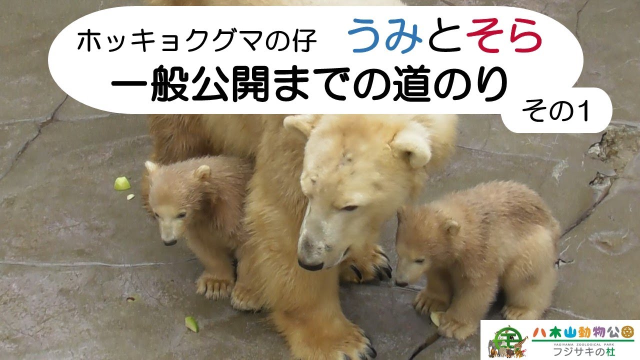 うみとそら一般公開までの道のり　その１