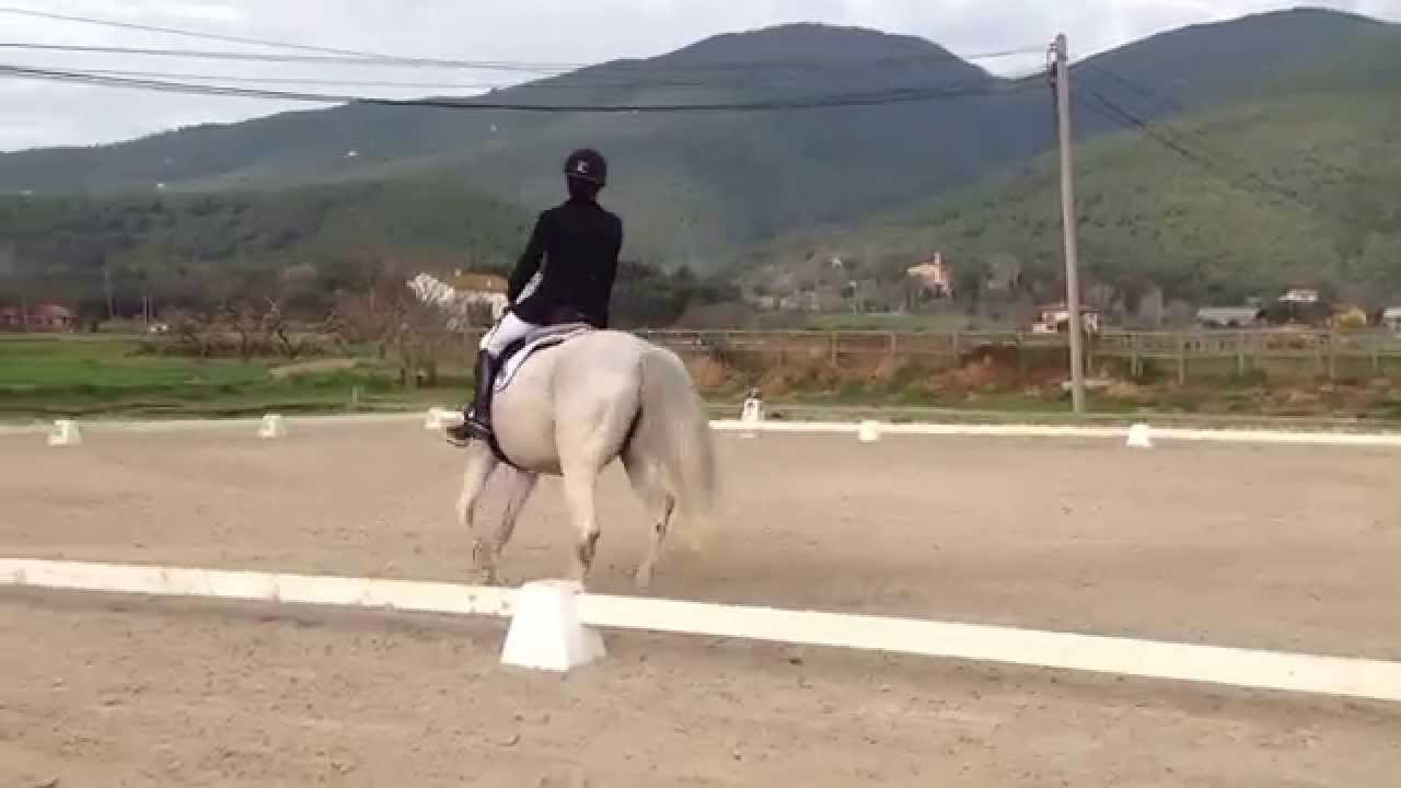 Mireia Grau.Hipica Sant Marc.Reprise 1.Febrer 2015