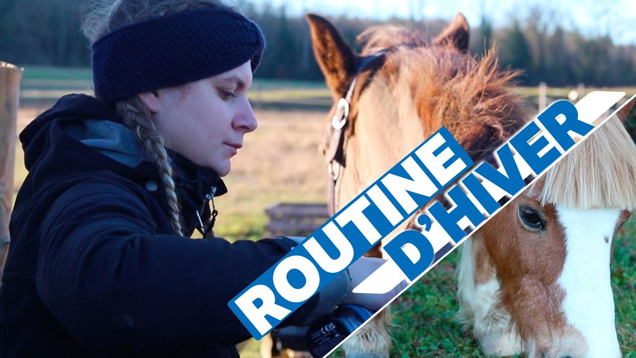 MA ROUTINE D'HIVER AVEC 3 CHEVAUX ! ─ Edition 2022