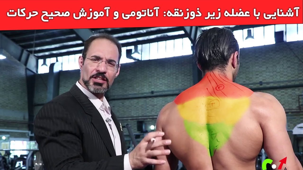 آشنایی با عضله زیر ذوزنقه: آناتومی و آموزش صحیح حرکات