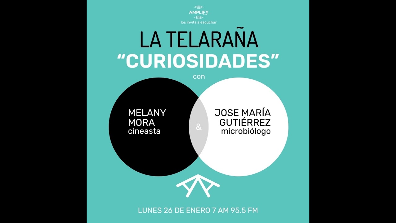 Curiosidades