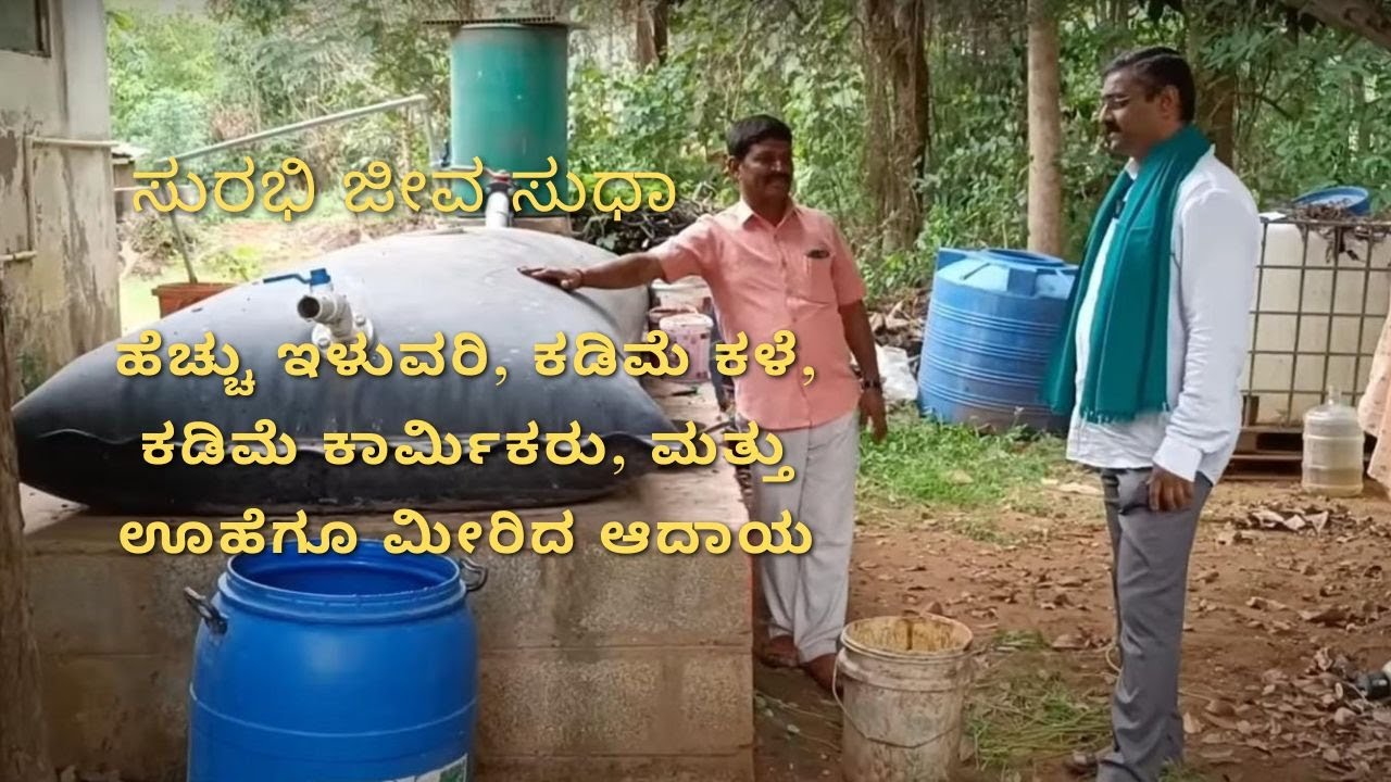 ಸುರಭಿ ಜೀವ ಸುಧಾ: ಹೆಚ್ಚು ಇಳುವರಿ, ಕಡಿಮೆ ಕಳೆ, ಕಡಿಮೆ ಕಾರ್ಮಿಕರು, ಮತ್ತು ಊಹೆಗೂ ಮೀರಿದ ಆದಾಯ. #organicfarming