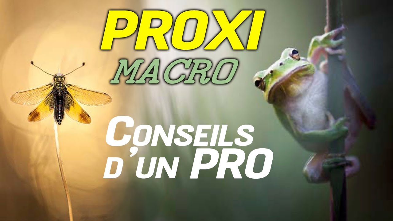 photo MACRO : les SECRETS d'un pro ! (avec Patrick GOUJON)