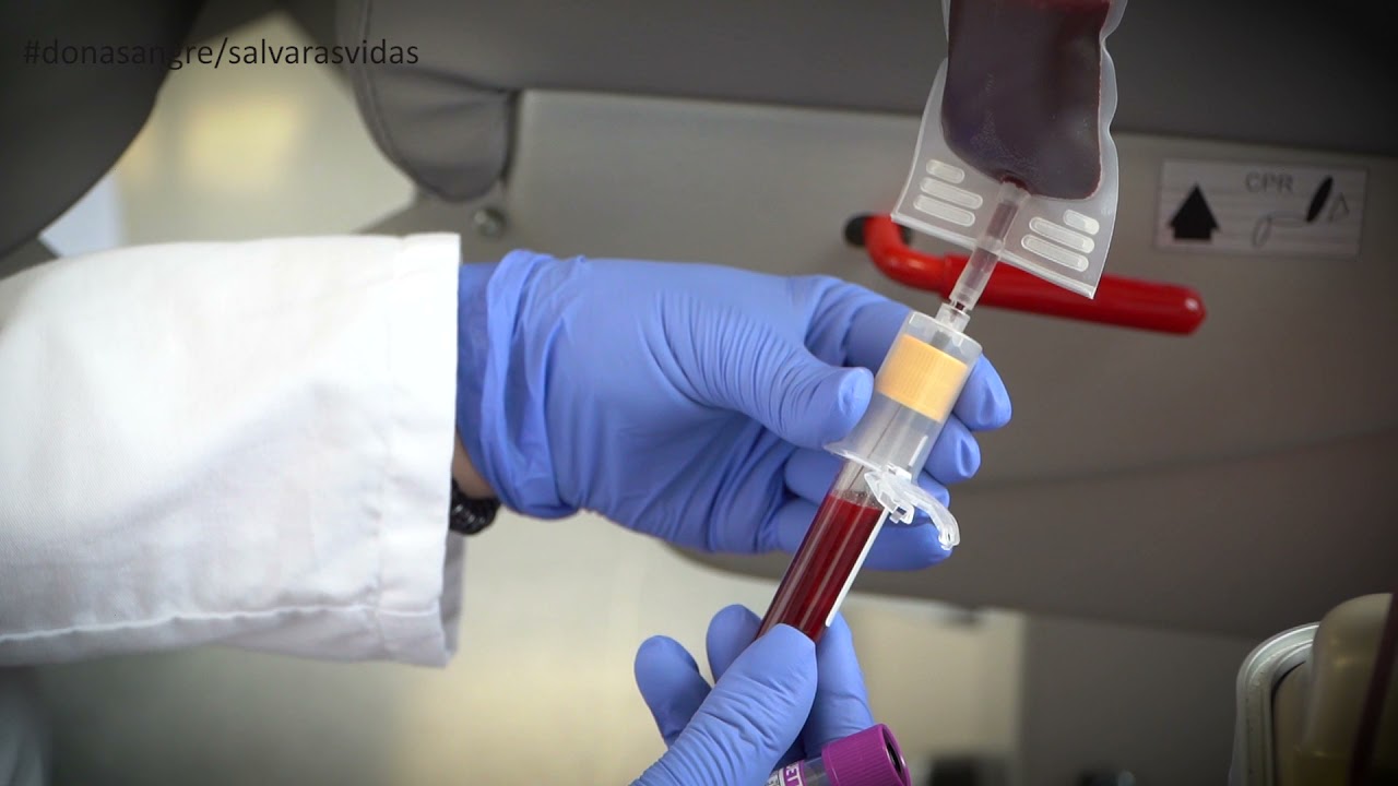 Proceso donación de sangre