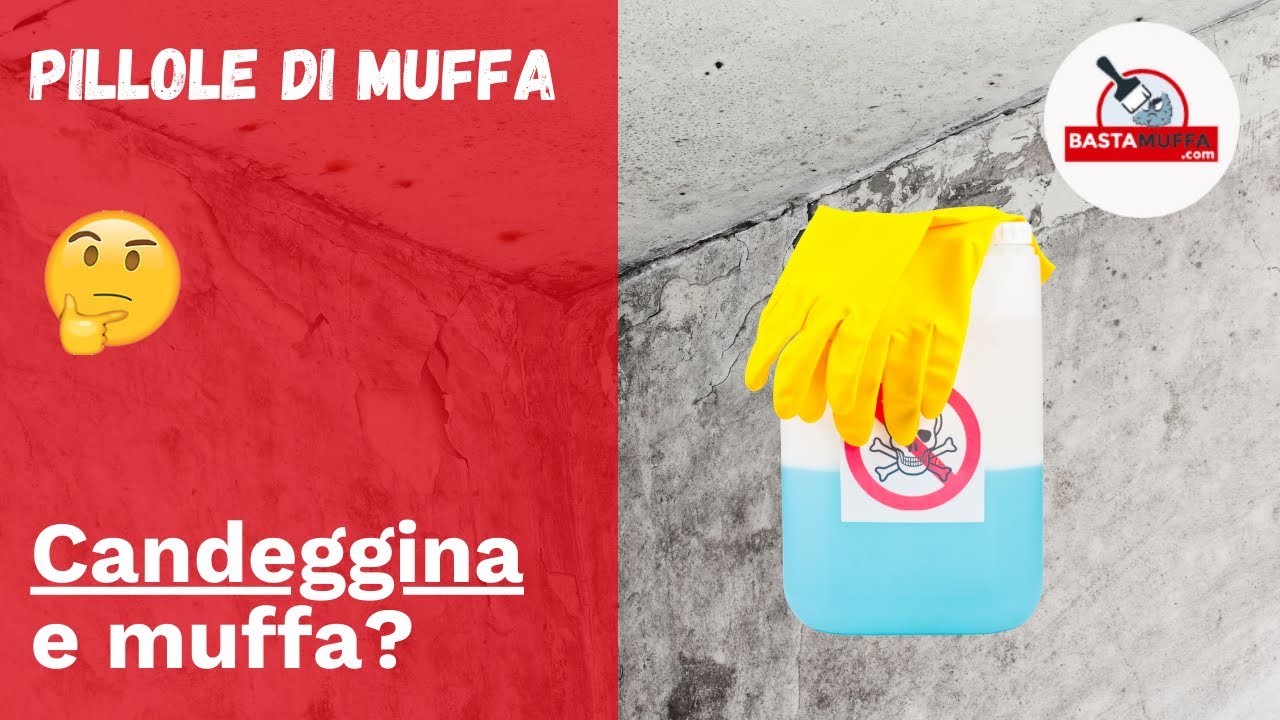 Pulire la muffa con candeggina : cosa succede?