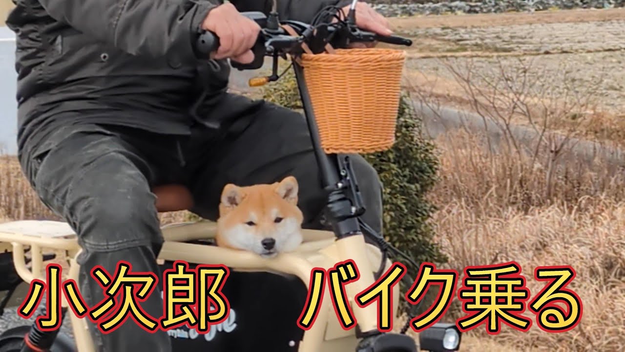 小次郎　バイクに乗る