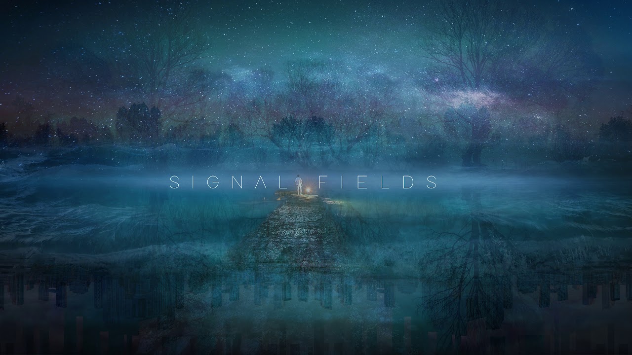 Signal Fields - Declaration (Original Mix)