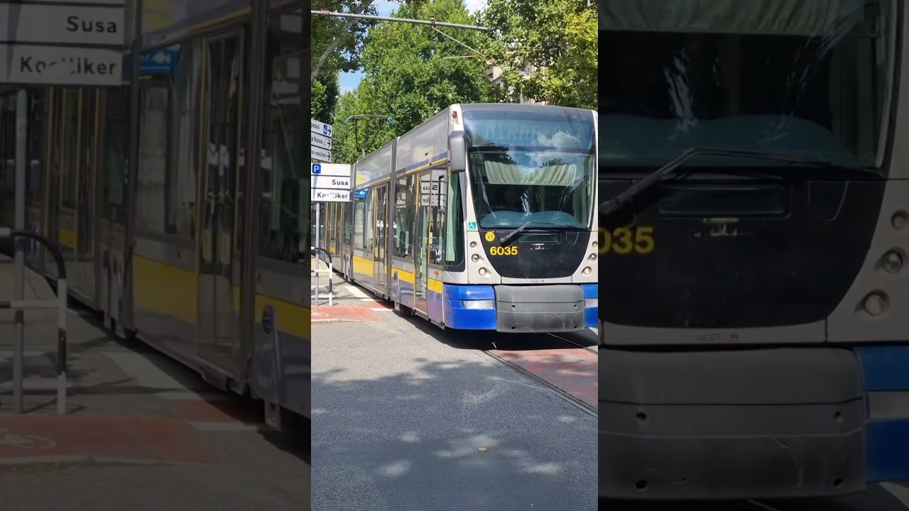 🇮🇹 Tram 4 in Turin (2025)