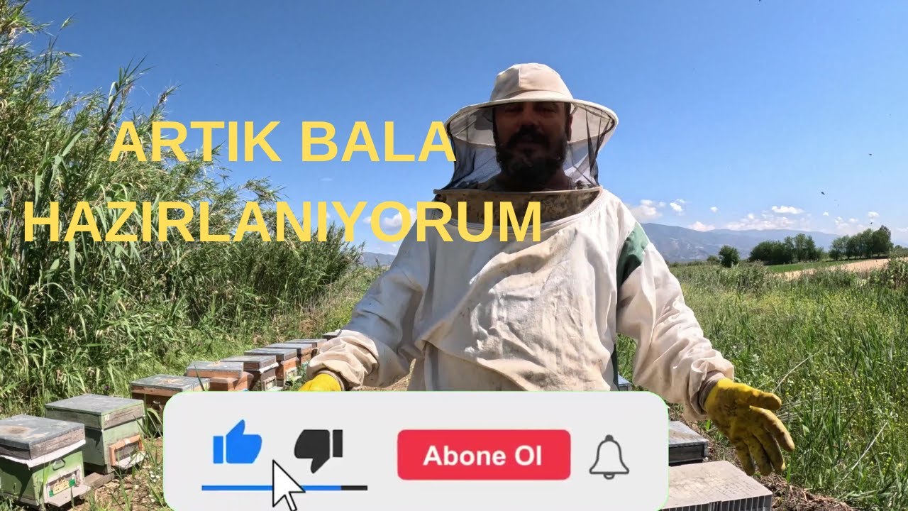 Artık Bala Hazırlanıyorum.