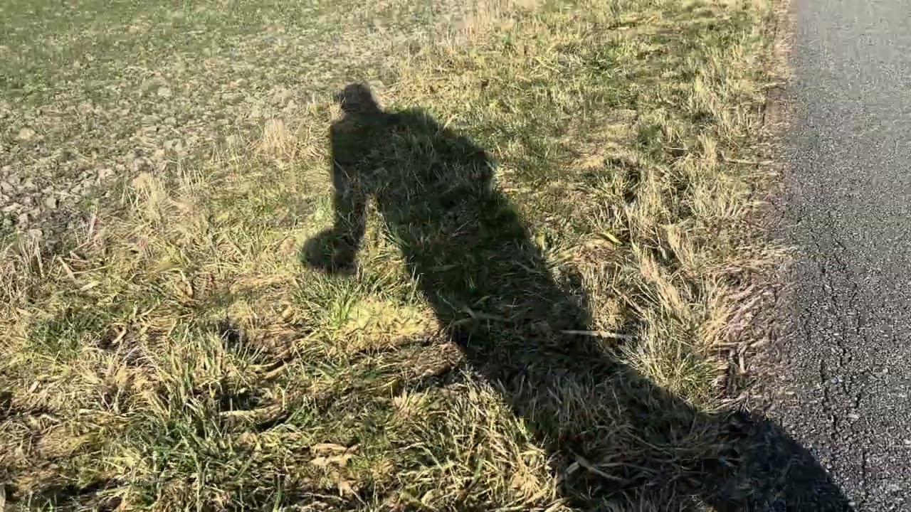 IMG 1103 2