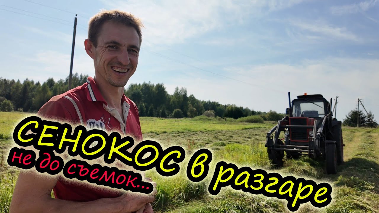 Отдыхаем в поле // Сенокос в разгаре // Не до съемок // Будни МОЛОЧНИКА