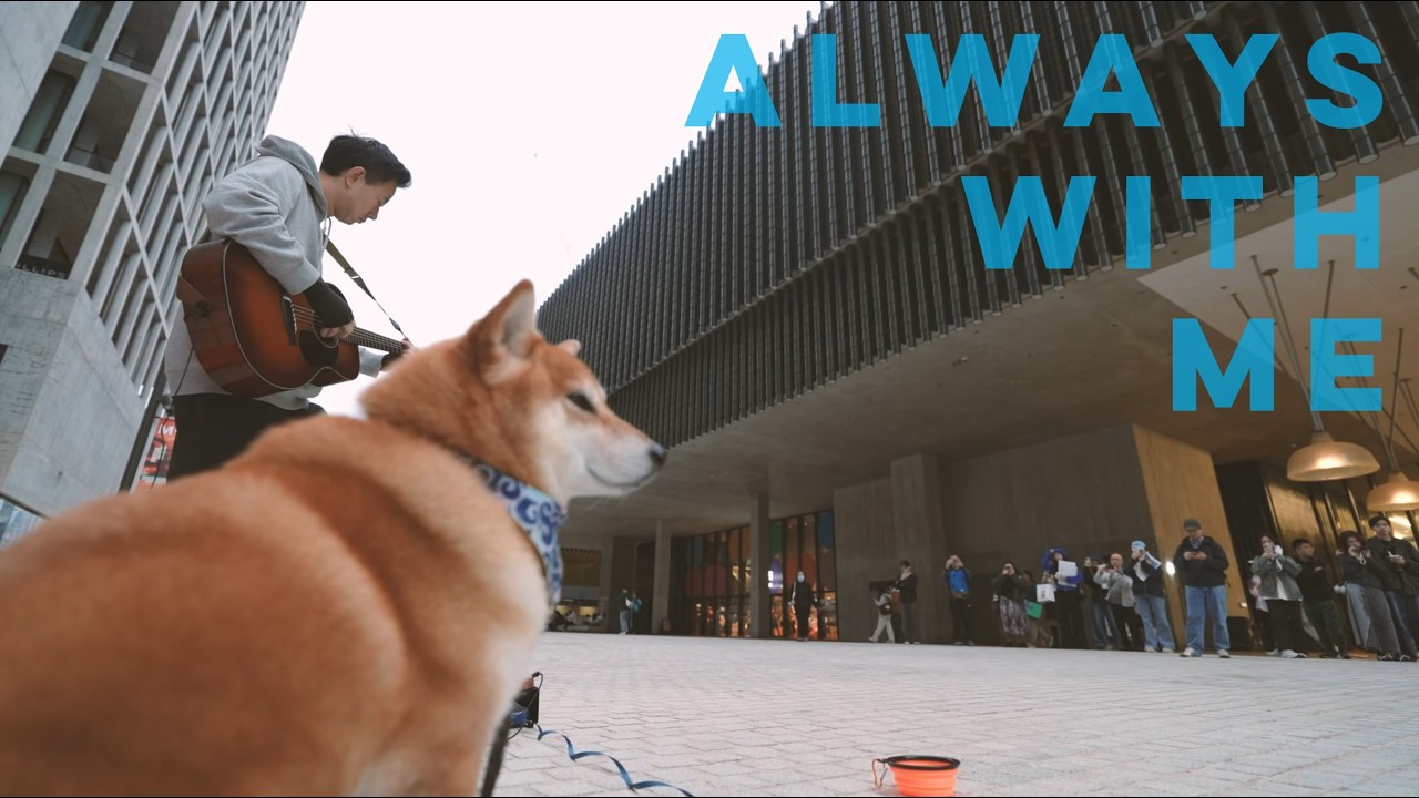 Always with Me (Improvised)  - Always with me OST - Fingerstyle Busking