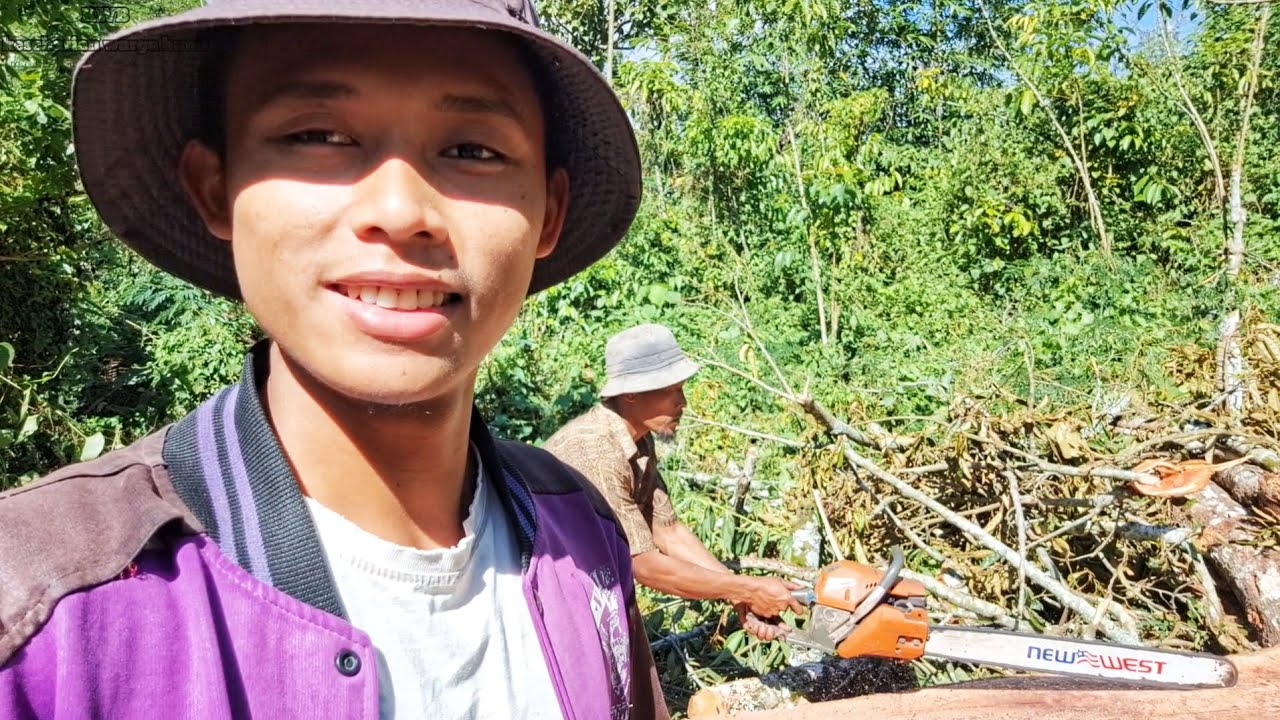 Proses Bangun Rumah Kebun, Bantuin Ayah Gesek / Gergaji Kayu, Kehidupan Nyata