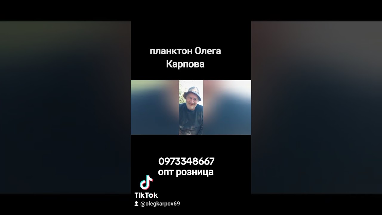 Рктябрский планктон от Олега Карпова