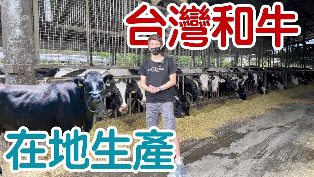 【開箱】台灣居然也有養和牛？餐廳滿滿負評吃起來到底如何？【蛋塔】