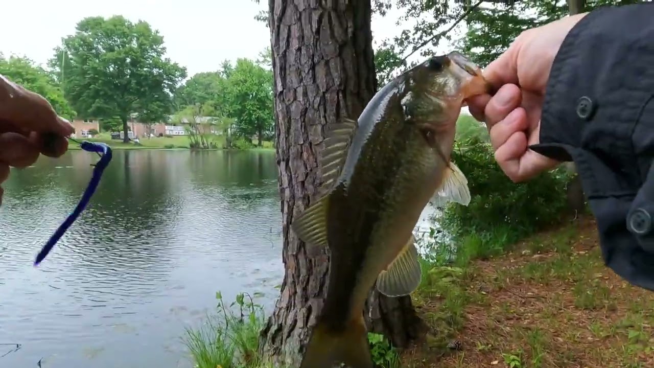 Walmart Ozark Trail OTX Fishing Rods - are they worthy?