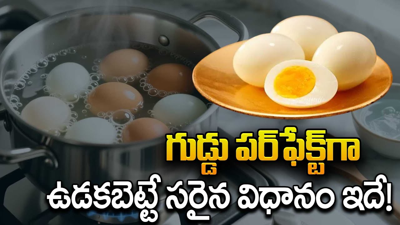 గుడ్డు పర్‌ఫెక్ట్‌గా ఉడకబెట్టే సరైన విధానం ఇదే! | How To Boil Eggs Perfectly | How to Boil Eggs