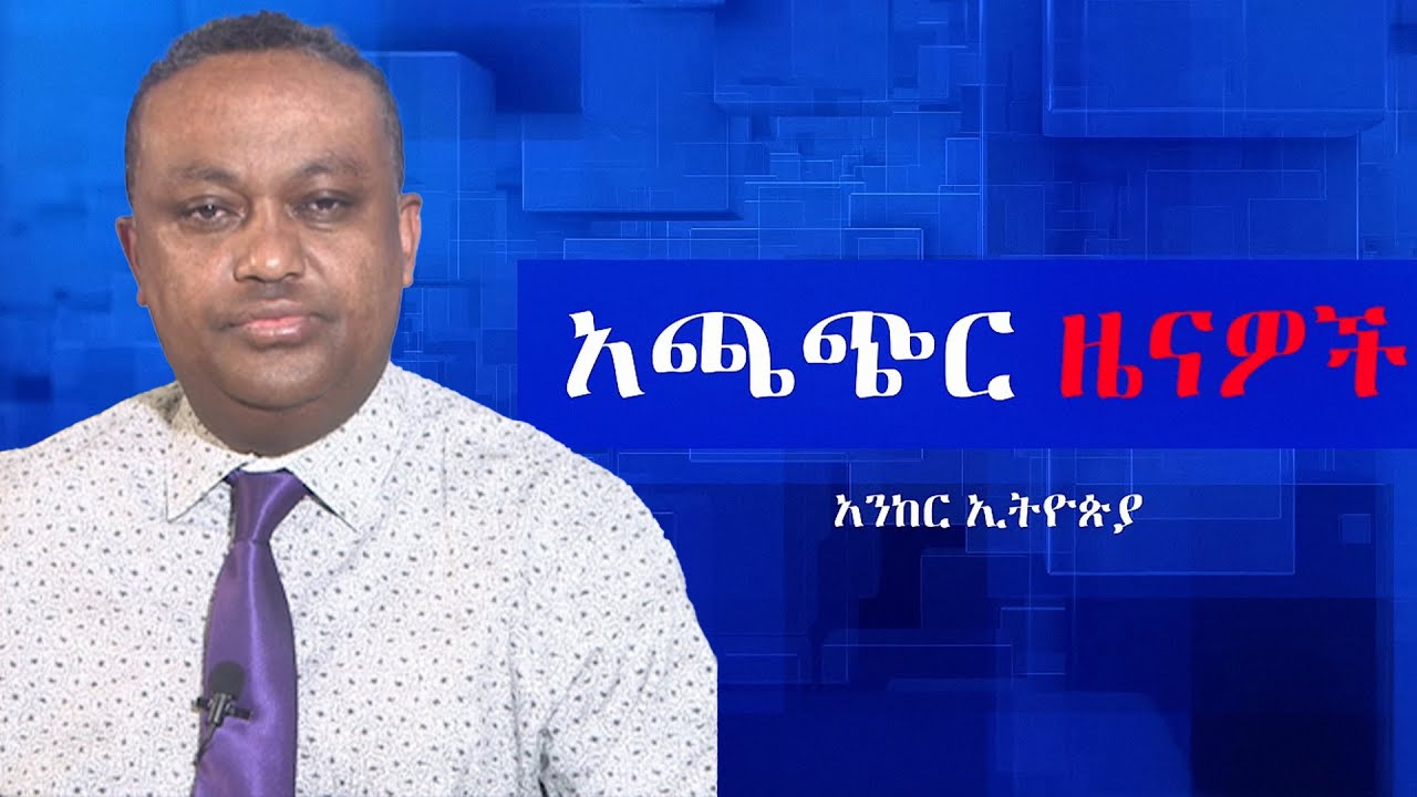 Anchor news ዘመቻ ማዕበል መቀልበስና የብርሃኑ ጁላ ንግግር፥ ''የገዛ ወገኖቻችን ጀርባችንን እየወጉን ነው'' ሽመልስ አብዲሳ፥ ህወሀት ብልጽግናን ከሰሰ