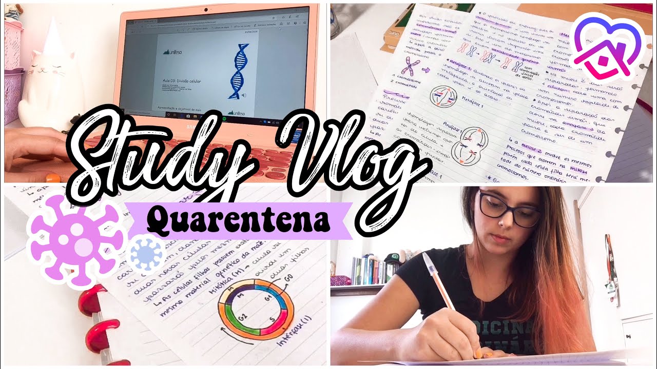 STUDY VLOG NA QUARENTENA - Melhoramento Genético | Veterinanda