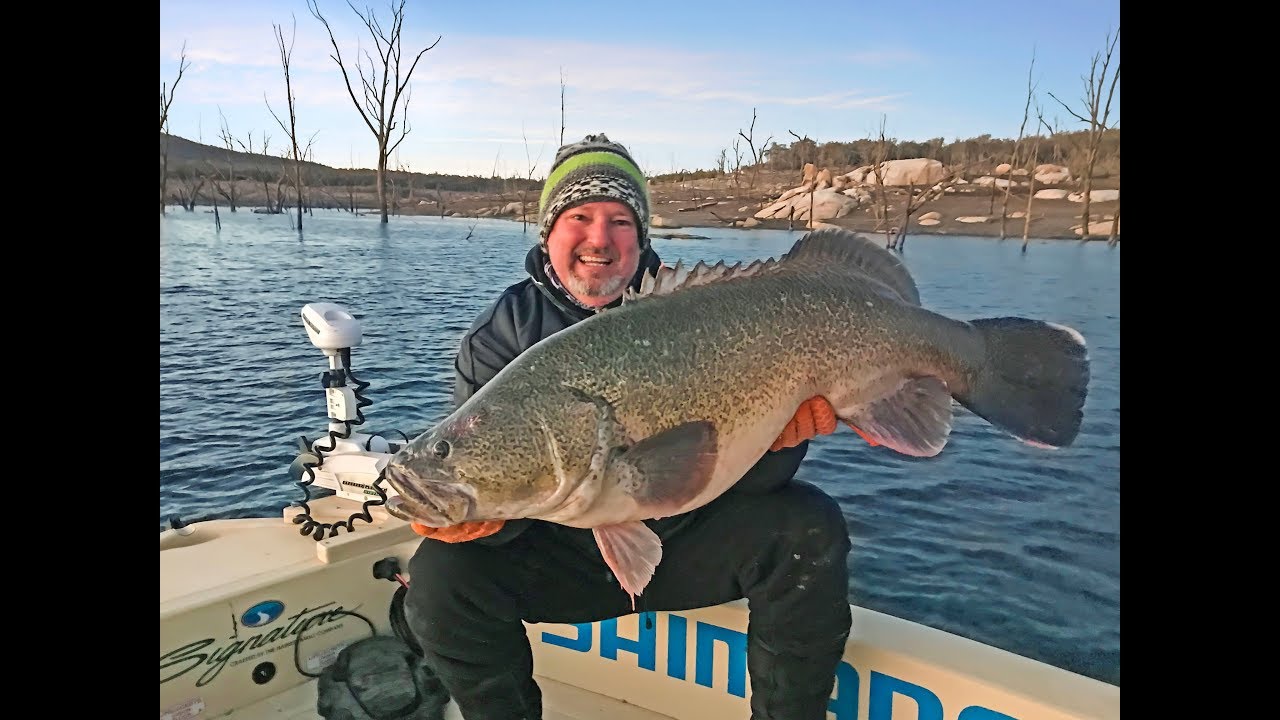 Murray Cod Fishing | Copeton Dam NSW Australia July 2018