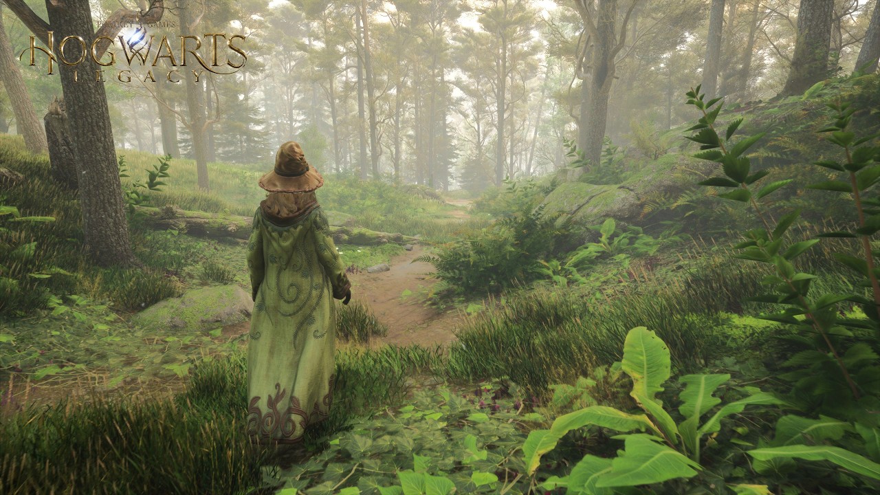 [4K] Relaxing Autumn Walk Through the Forests of Hogwarts | Hogwarts Legacy Ambience & Music