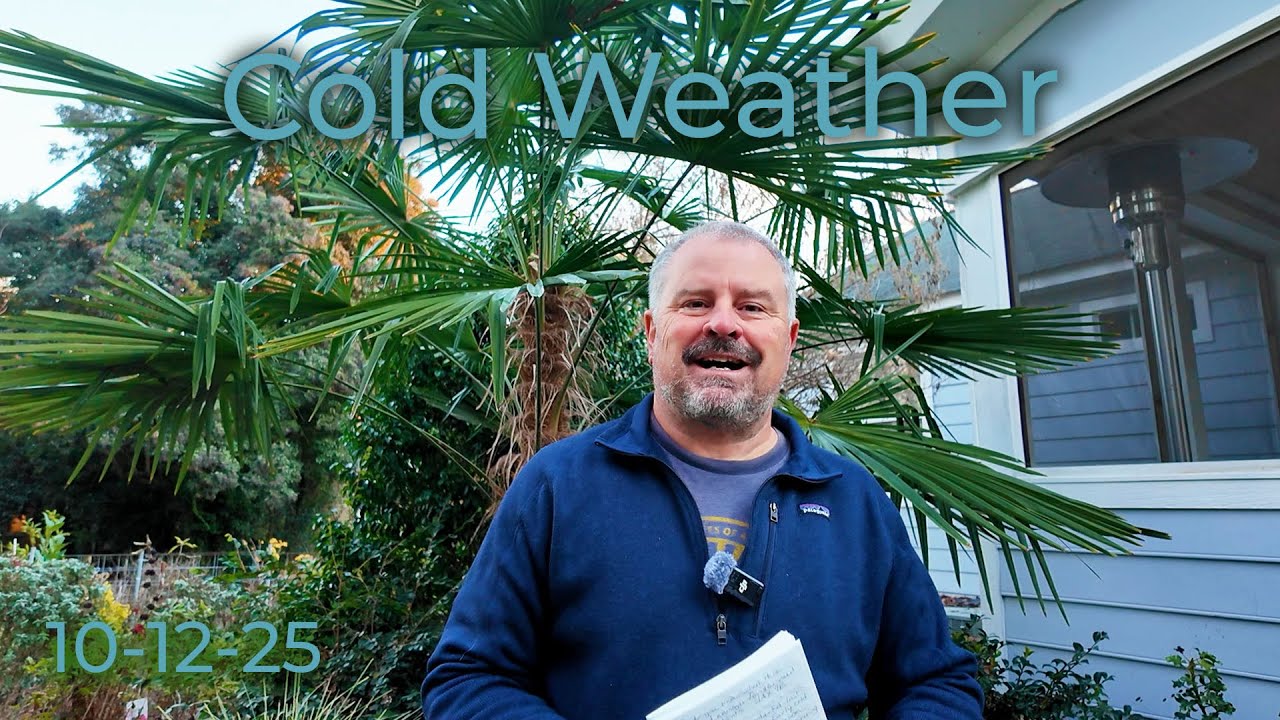Cold Weather Gardening Questions Answered