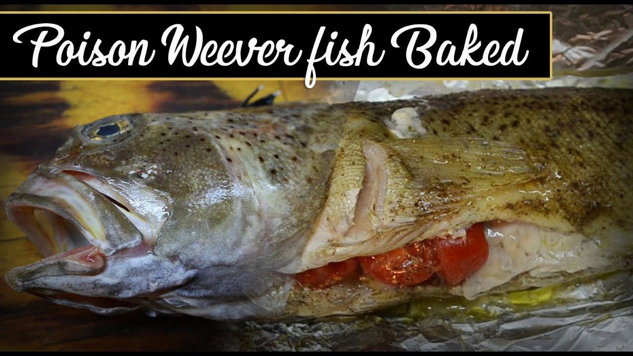 How to cook a Poison Weever fish ❗❗ (Tracna)