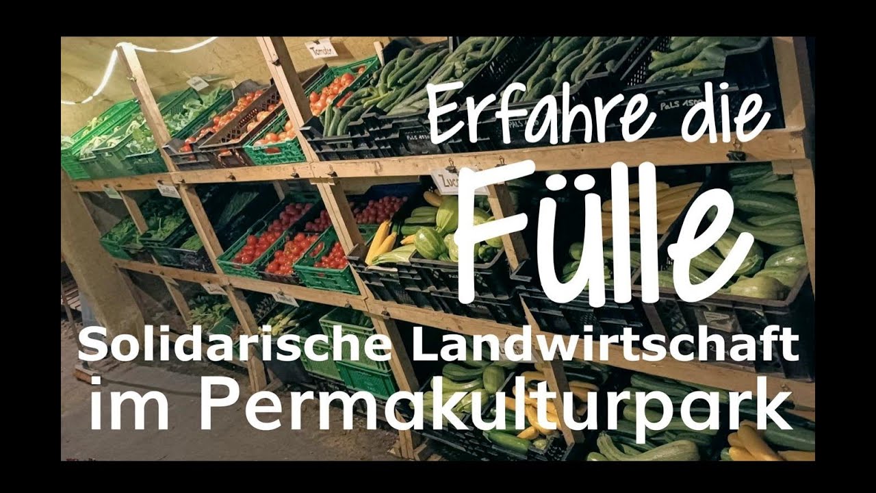 Erfahre die Fülle der Solidarischen Landwirtschaft im Permakulturpark am Lebensgarten Steyerberg
