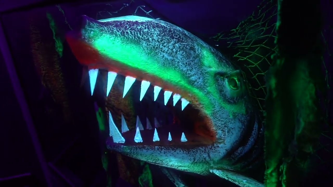 Waldameer Park’s Pirate’s Cove 2024 – Ultimate Walkthrough/B.T.S. Montage