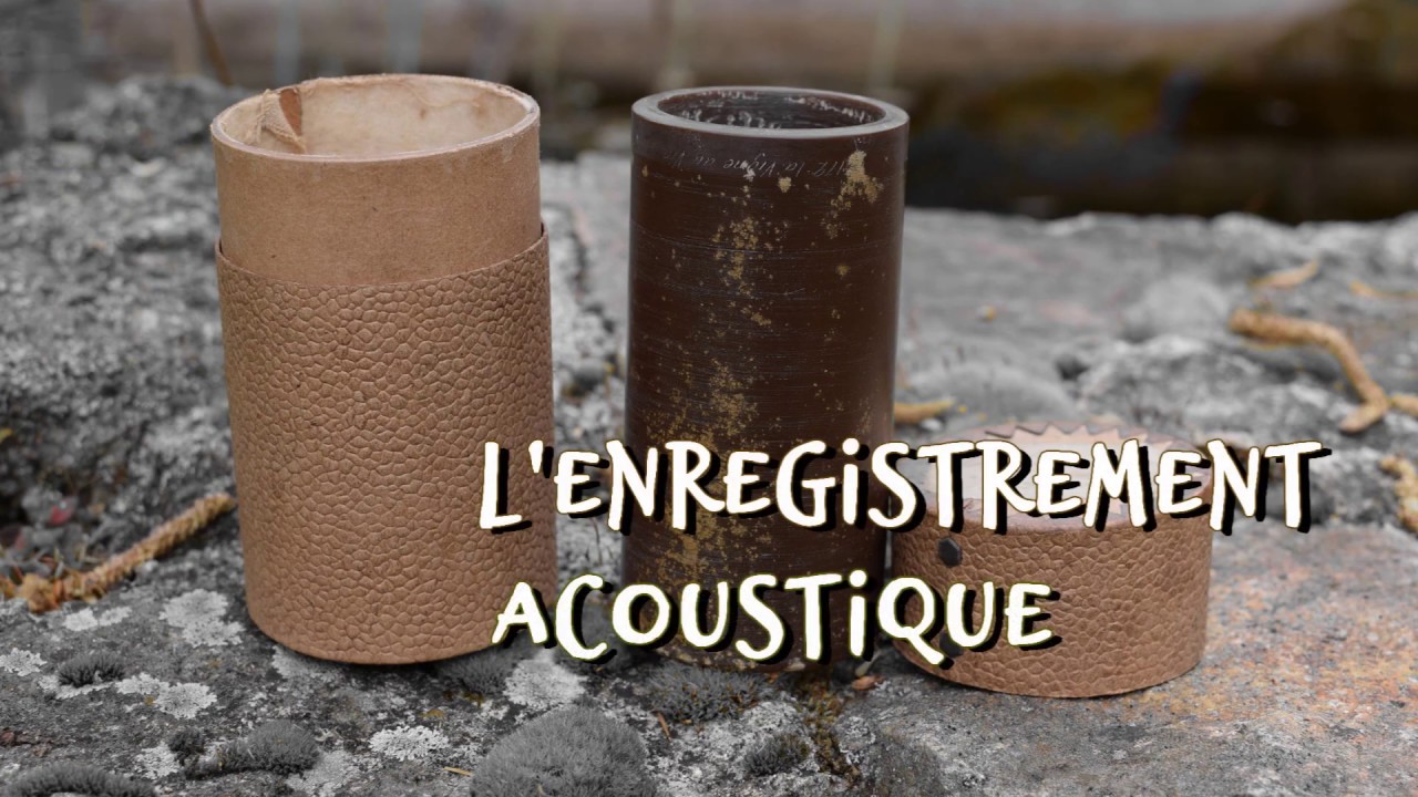 Les Sons de la Mare - Épisode 2 : L'enregistrement acoustique