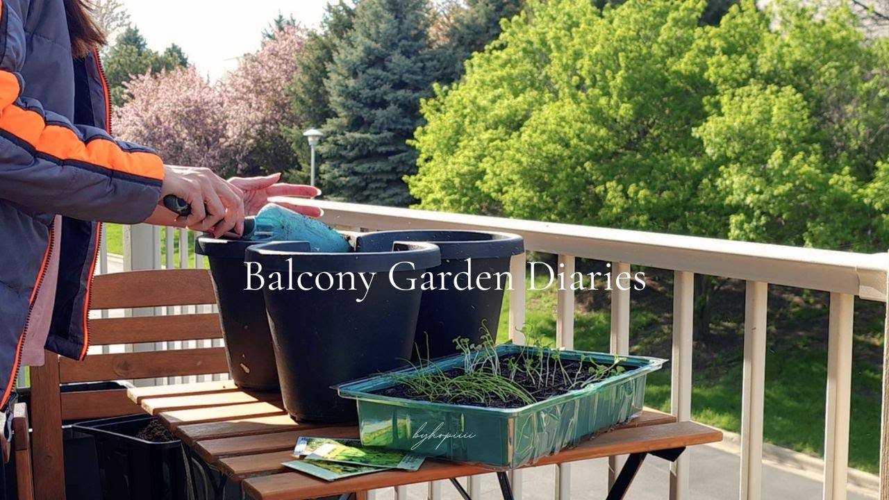 #02 Balcony Garden Diaries | Balcony Garden Progress, More Planting + A Sweet Little Bake