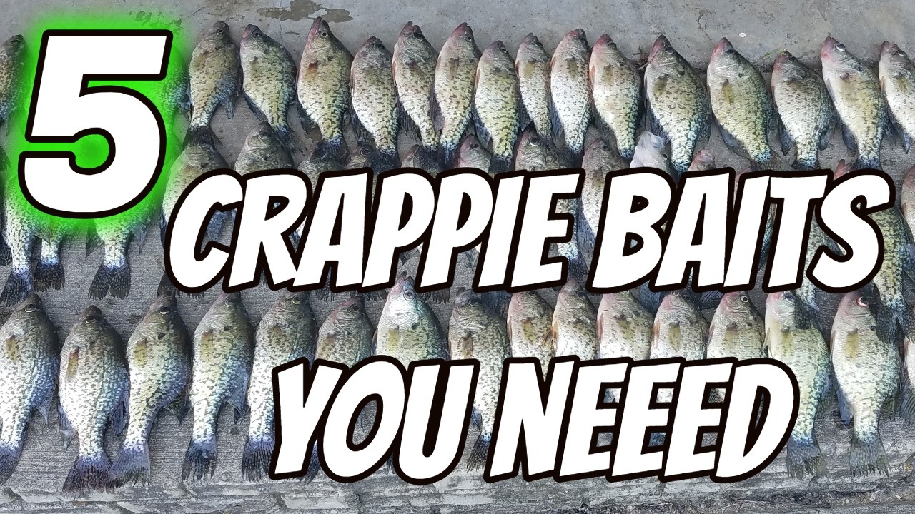 5 Crappie Soft Plastic Baits You Need To Be Using!