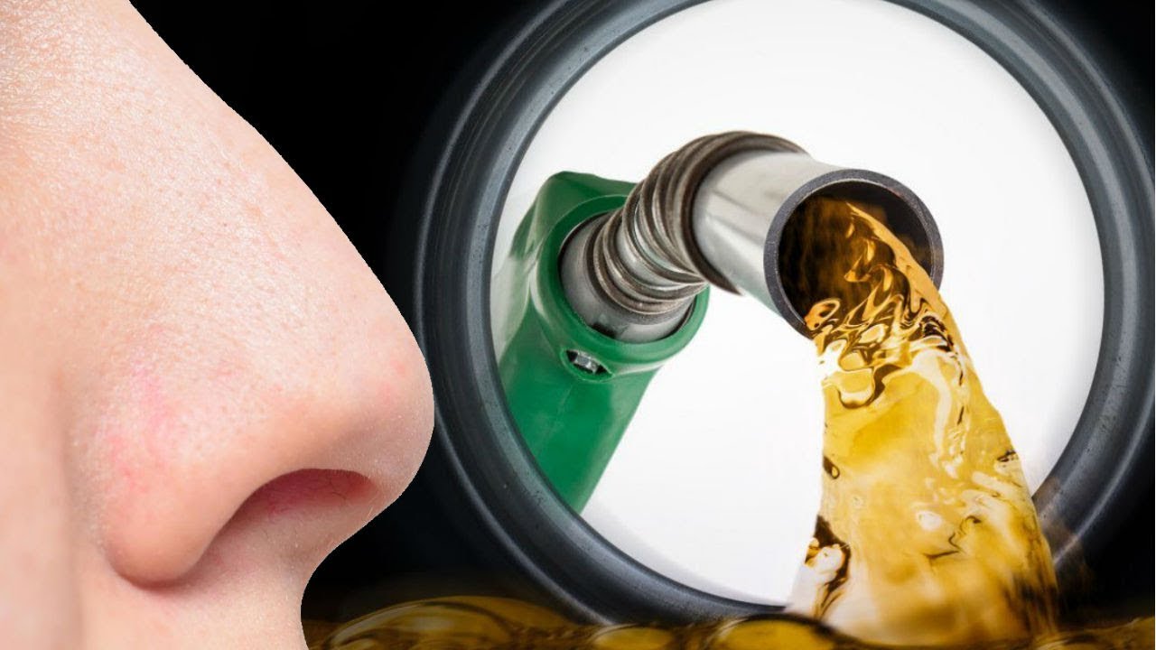 25 Datos Inútiles #18 | ¿Te gusta el olor a gasolina?