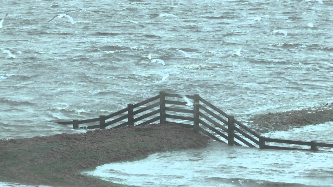 Veerdam Holwerd en Noard-Fryslân Bûtendyks volledig onder water. WaddenWildernis.