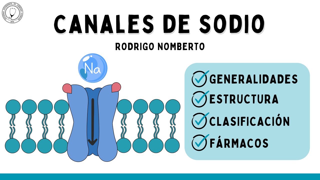 FARMACOLOGÍA DE CANALES DE SODIO | FARMACOLOGÍA