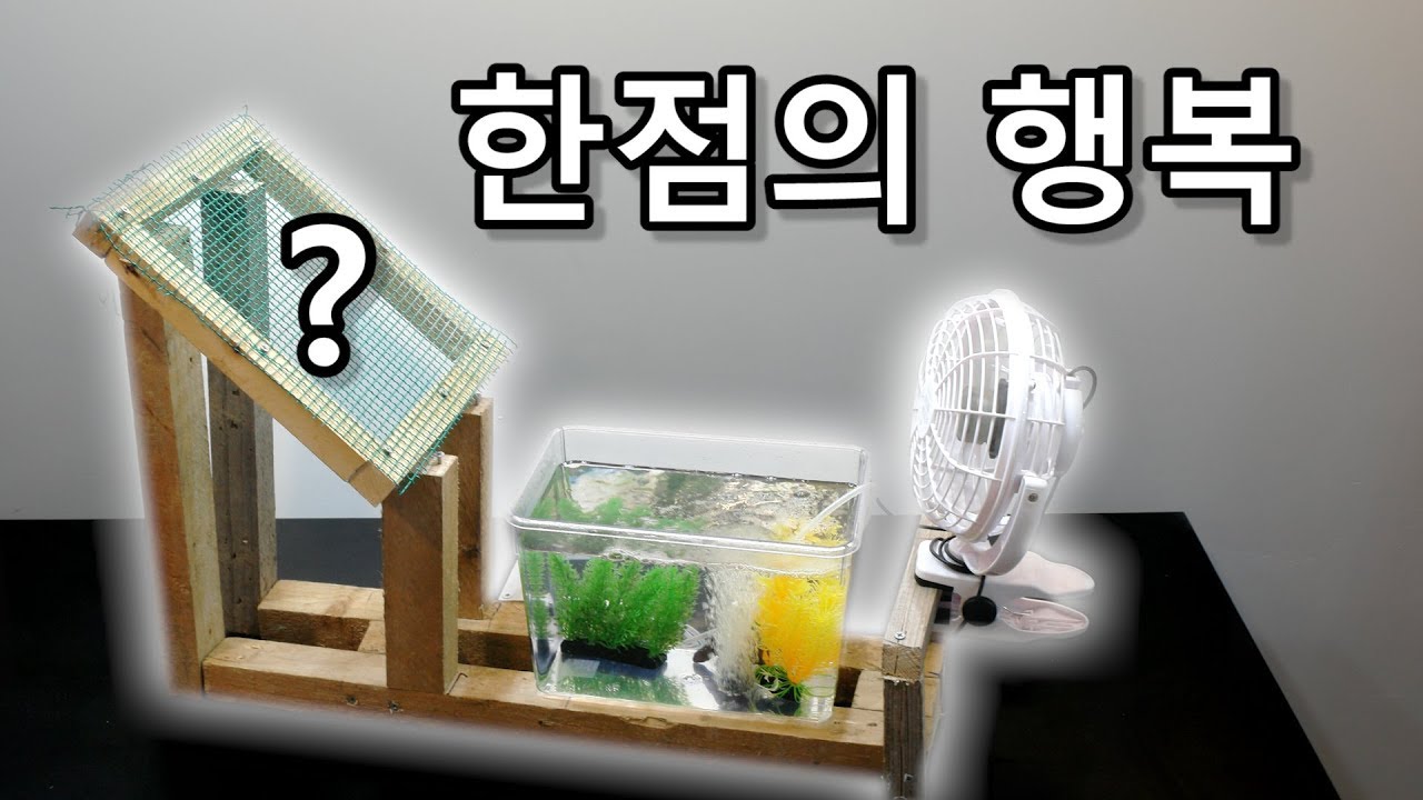 [우마] 한점의 행복 -쥐포 편- Dried Filefish Fillet